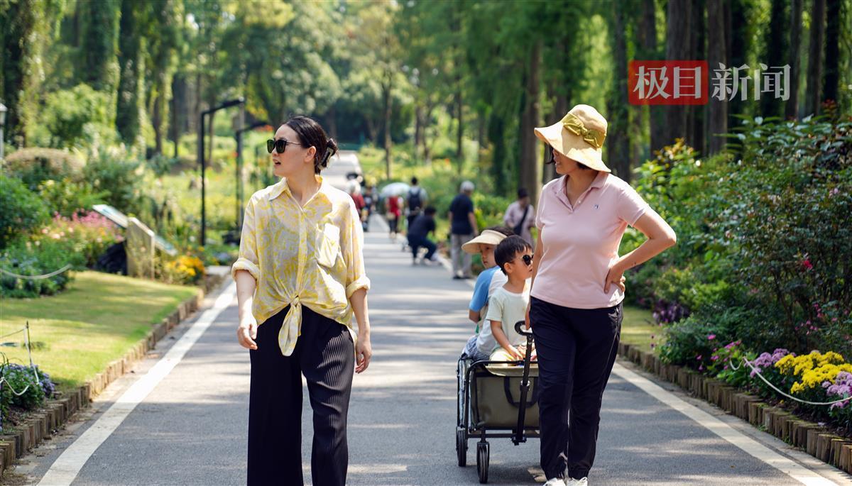 诚博国际网投